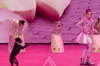 An 11-Year-Old and Her Eight Dogs Turned the BGT Champions Stage Into a Candy Land Party