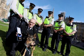Stabbed While Protecting His Handler, Police Dog Finn Left the BGT Judges in Tears