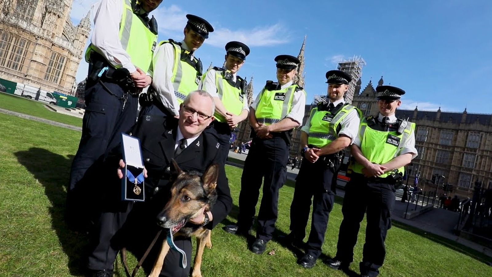 Stabbed While Protecting His Handler, Police Dog Finn Left the BGT Judges in Tears